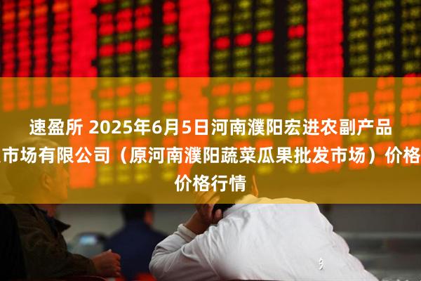 速盈所 2025年6月5日河南濮阳宏进农副产品批发市场有限公司（原河南濮阳蔬菜瓜果批发市场）价格行情