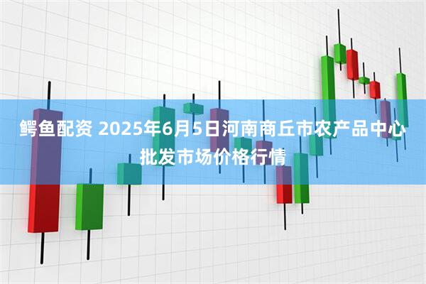 鳄鱼配资 2025年6月5日河南商丘市农产品中心批发市场价格行情