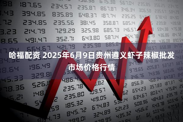 哈福配资 2025年6月9日贵州遵义虾子辣椒批发市场价格行情