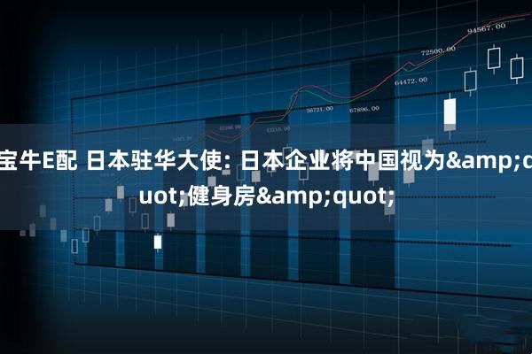 宝牛E配 日本驻华大使: 日本企业将中国视为&quot;健身房&quot;