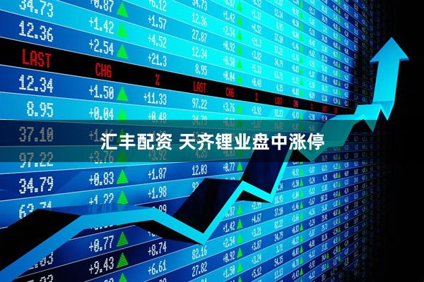 汇丰配资 天齐锂业盘中涨停