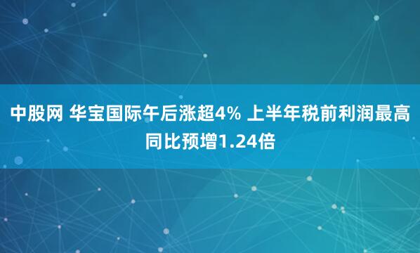 中股网 华宝国际午后涨超4% 上半年税前利润最高同比预增1.24倍