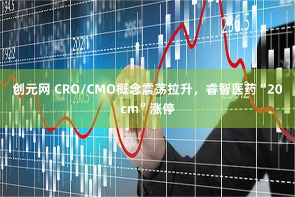 创元网 CRO/CMO概念震荡拉升，睿智医药“20cm”涨停
