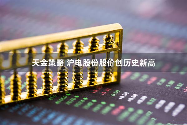 天金策略 沪电股份股价创历史新高