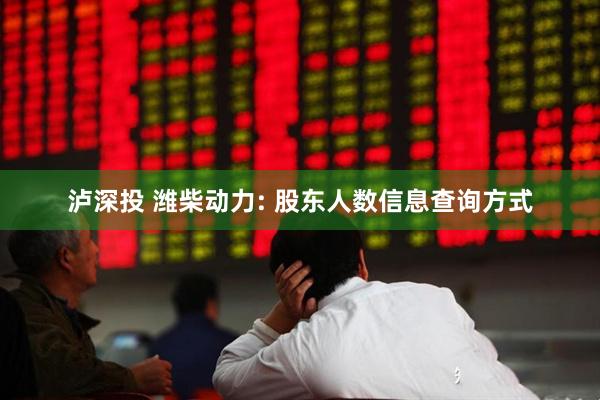 泸深投 潍柴动力: 股东人数信息查询方式