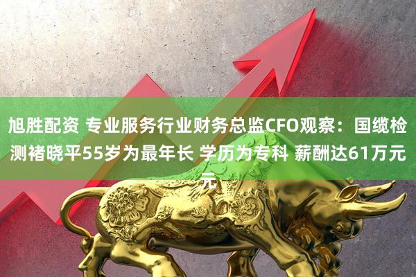 旭胜配资 专业服务行业财务总监CFO观察：国缆检测褚晓平55岁为最年长 学历为专科 薪酬达61万元
