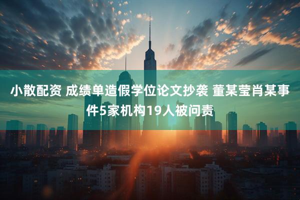 小散配资 成绩单造假学位论文抄袭 董某莹肖某事件5家机构19人被问责