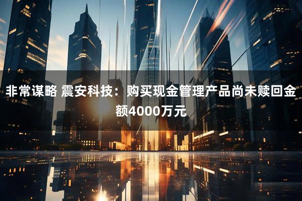 非常谋略 震安科技：购买现金管理产品尚未赎回金额4000万元