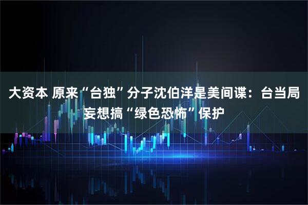 大资本 原来“台独”分子沈伯洋是美间谍：台当局妄想搞“绿色恐怖”保护